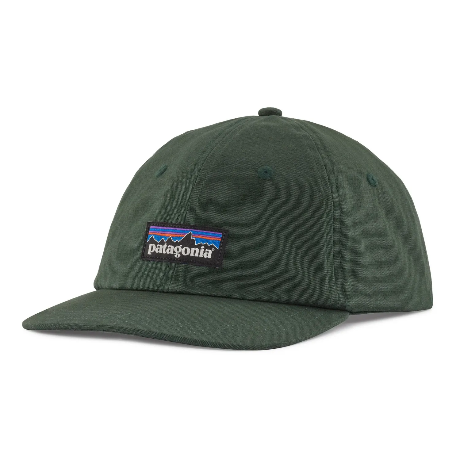 PET PATAGONIA UNISEX P6 LABEL TRAD CAP PINYON GREEN